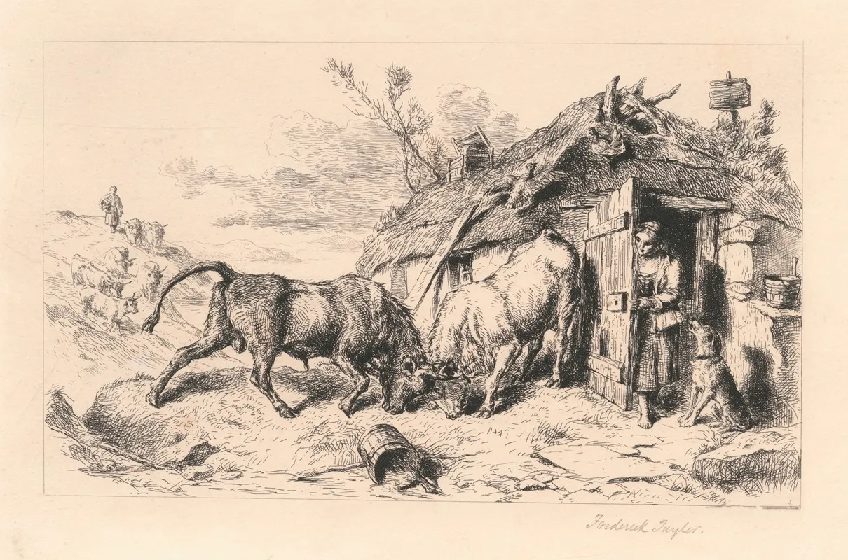 Two Bulls Fighting By A Cottage