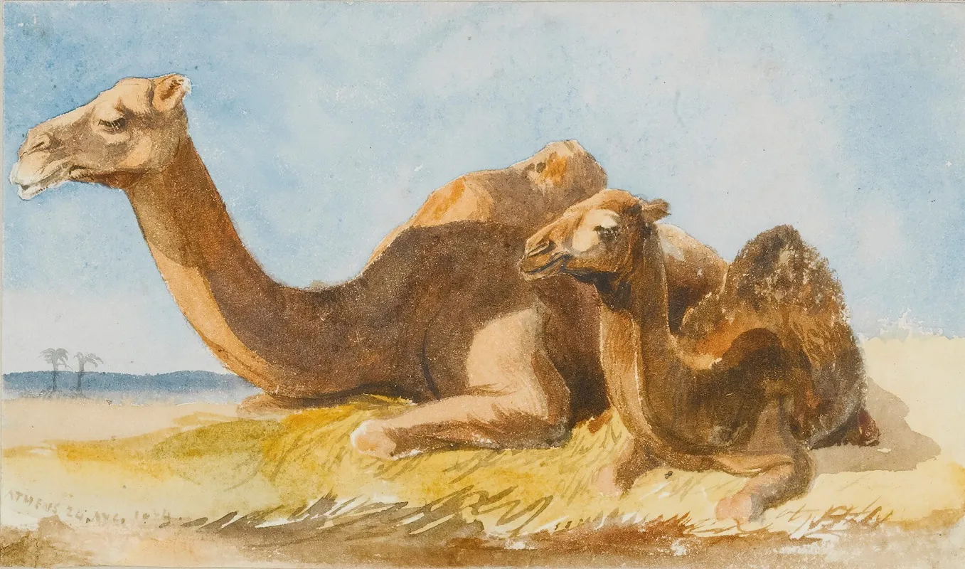 Two Camels