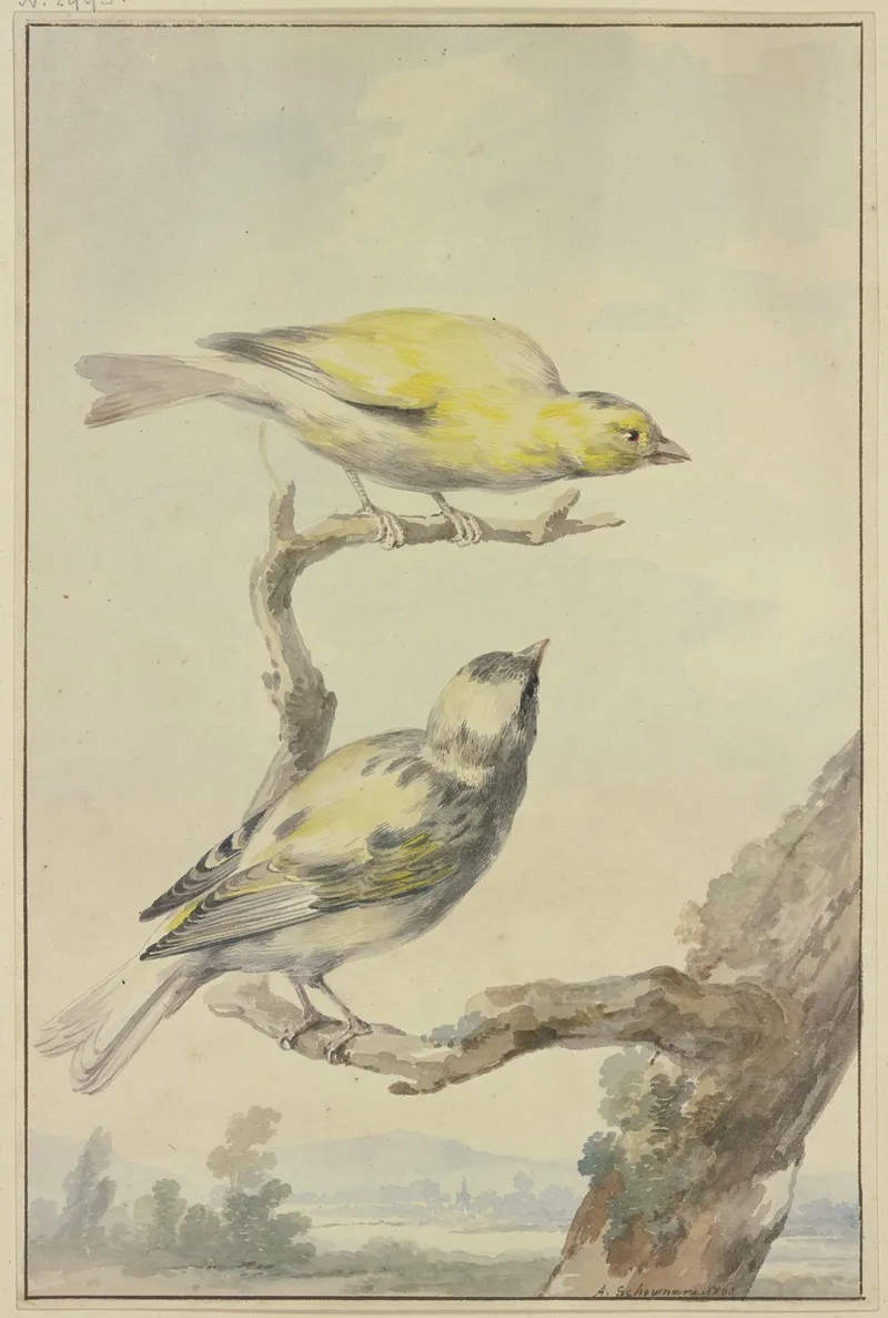 Two Canaries Wall Art by Aert Schouman - High-Resolution Digital Print