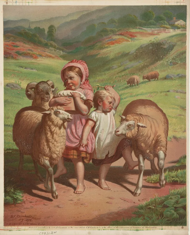 Two Children Among 2 Sheep And 1 Ram