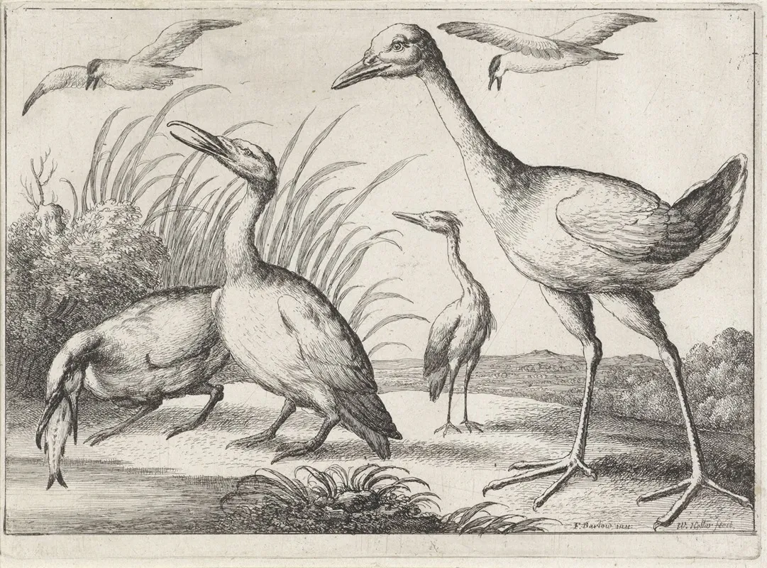 Two Cormorants One Of Them With A Fish In Its Beak A Heron And A Large Wading Bird In A River Landscape