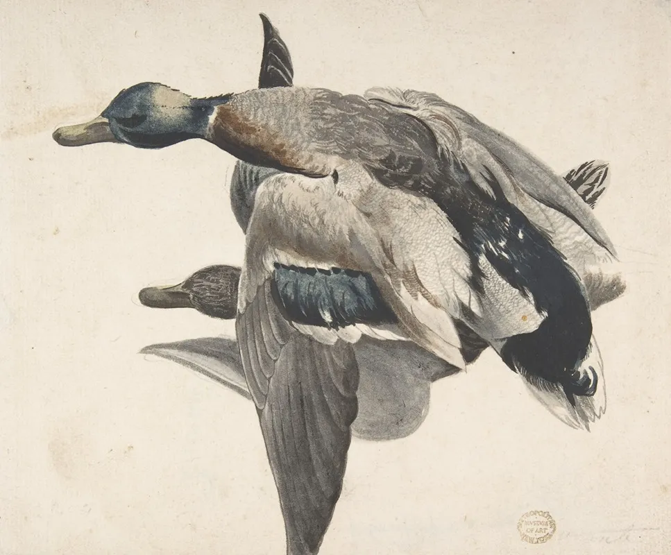 Two Dead Ducks 2 Wall Art by Count Giorgio Durante - High-Resolution Digital Print