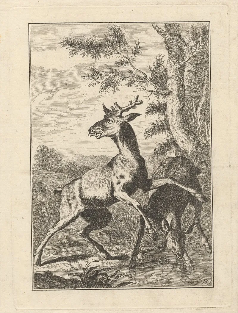 Two Deer 2