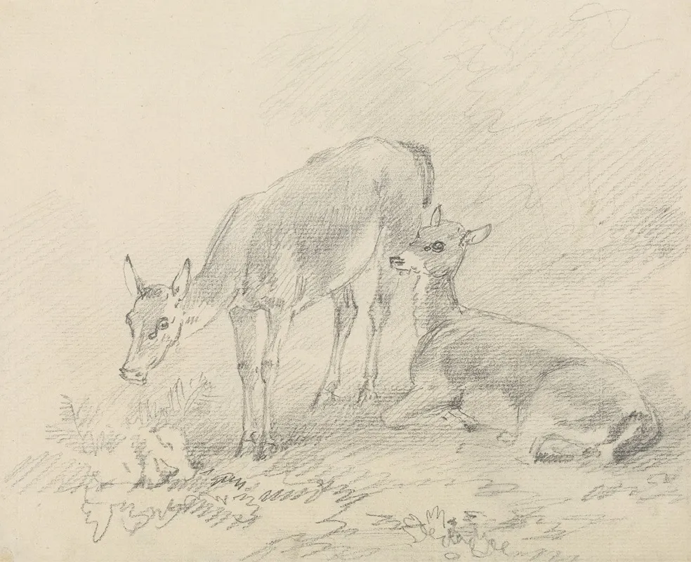 Two Deer 3