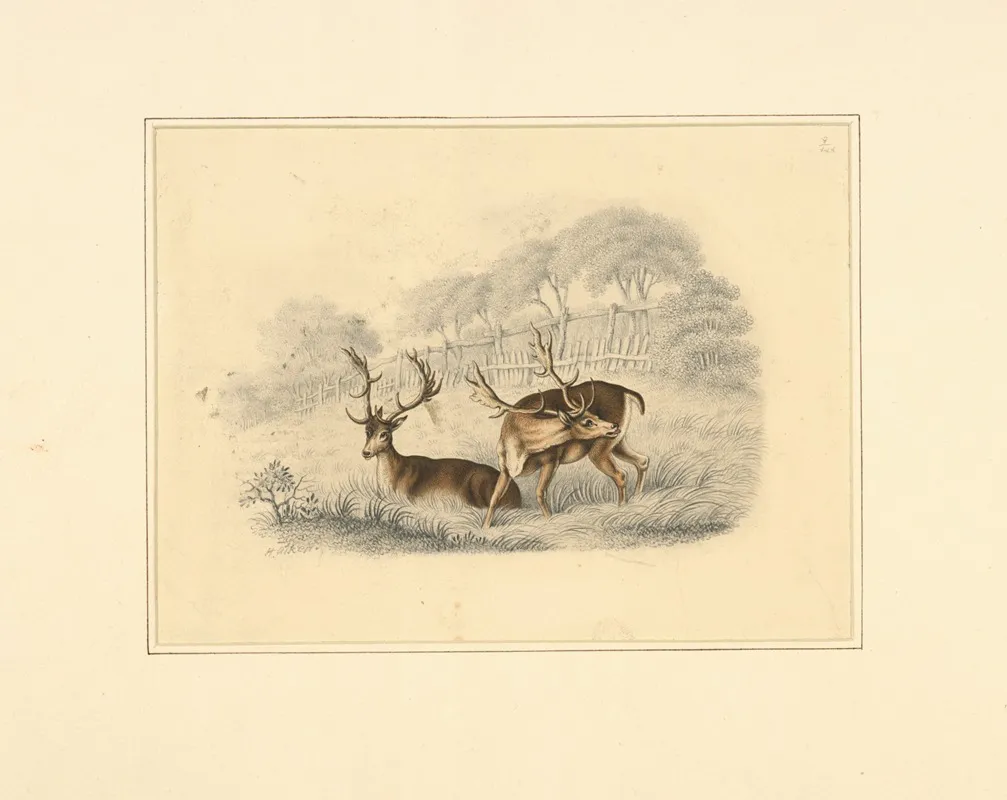 Two Deer Near A Running Fence