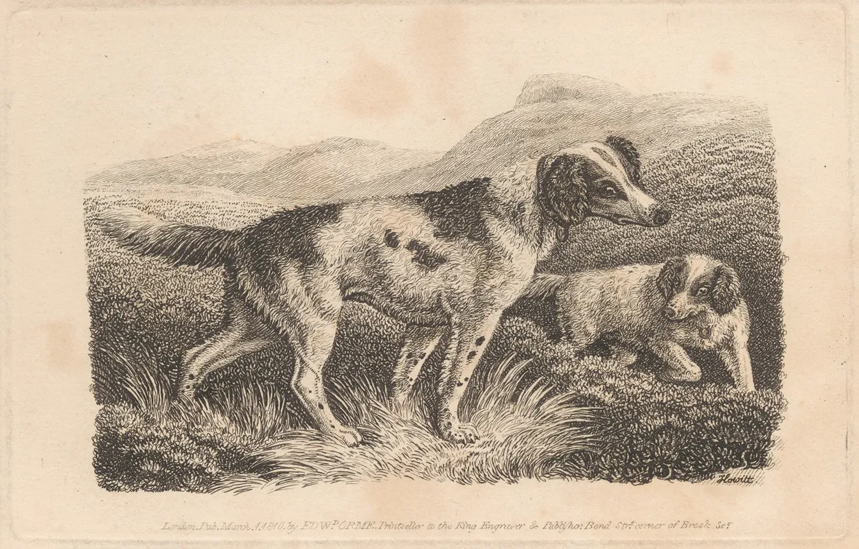 Two Dogs 9