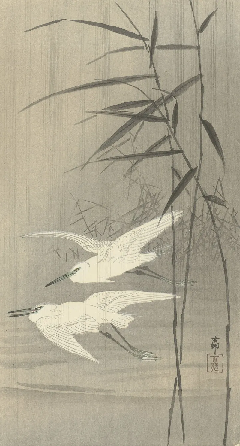 Two Egrets In Flight Wall Art by Ohara Koson - High-Resolution Digital Print