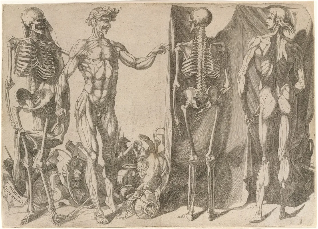 Two Flayed Men And Their Skeletons Wall Art by Domenico del Barbiere - High-Resolution Digital Print