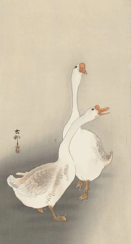 Two Geese Wall Art by Ohara Koson - High-Resolution Digital Print