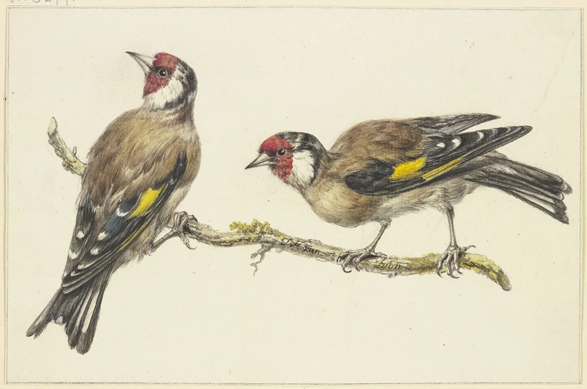 Two Goldfinches 2 Wall Art by J. H. Van Loon - High-Resolution Digital Print