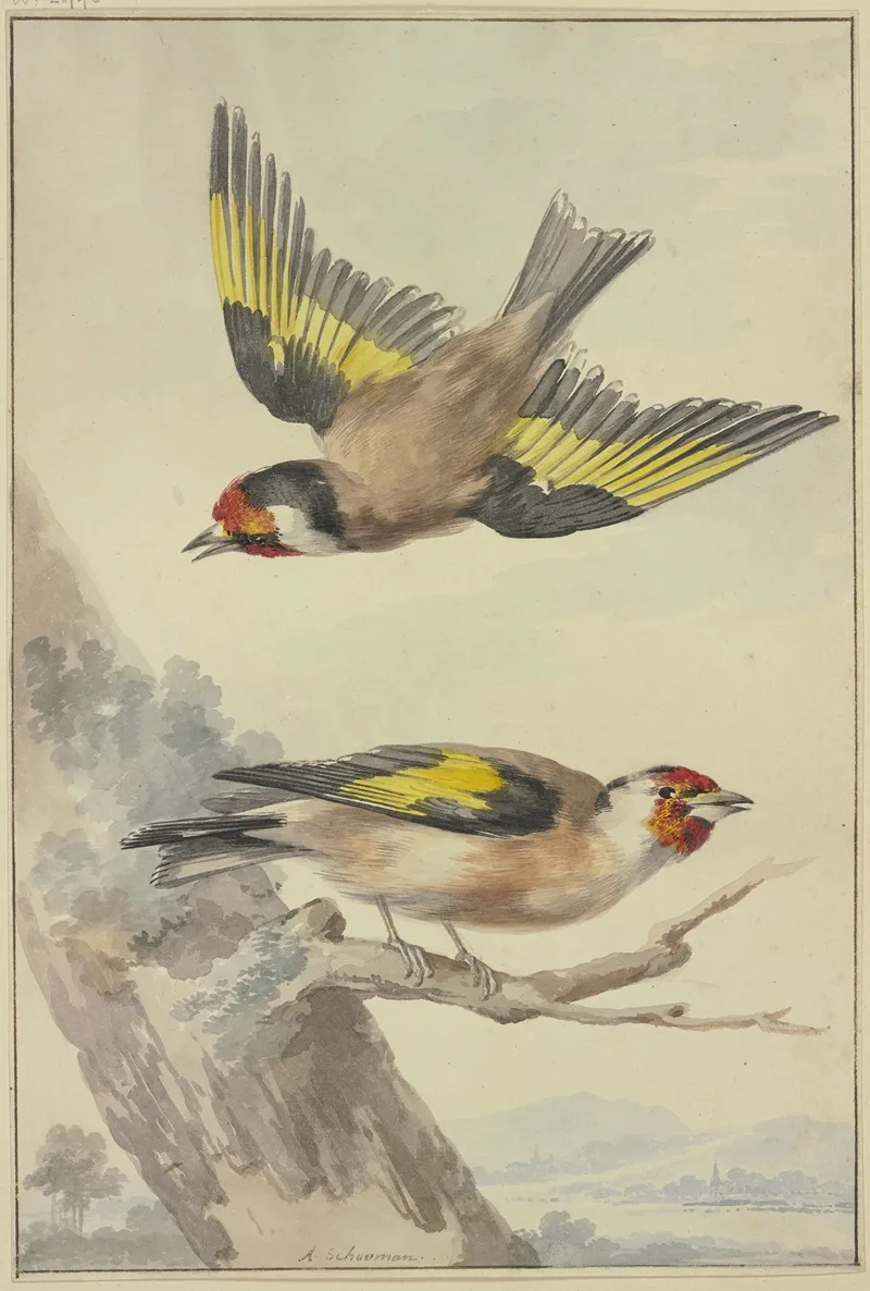 Two Goldfinches Wall Art by Aert Schouman - High-Resolution Digital Print