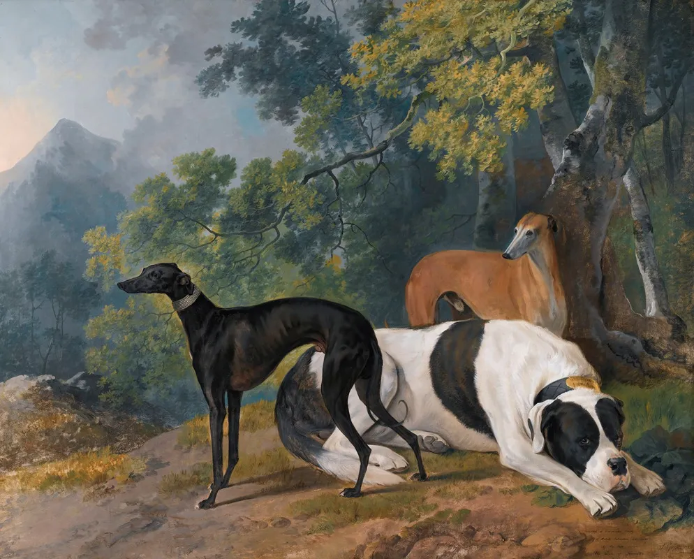 Two Greyhounds And A Mastif Belonging To The Duke Of Hamilton