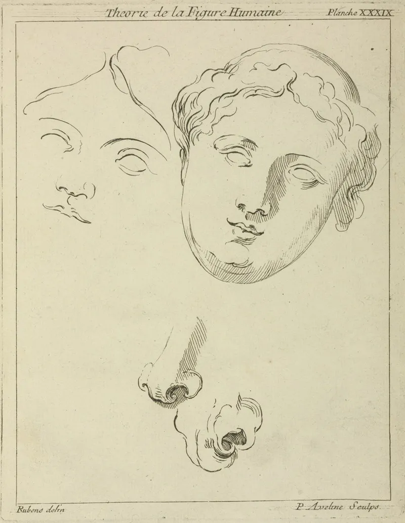 Two Human Female Faces And Two Noses One Human Animal Wall Art by Peter Paul Rubens - High-Resolution Digital Print