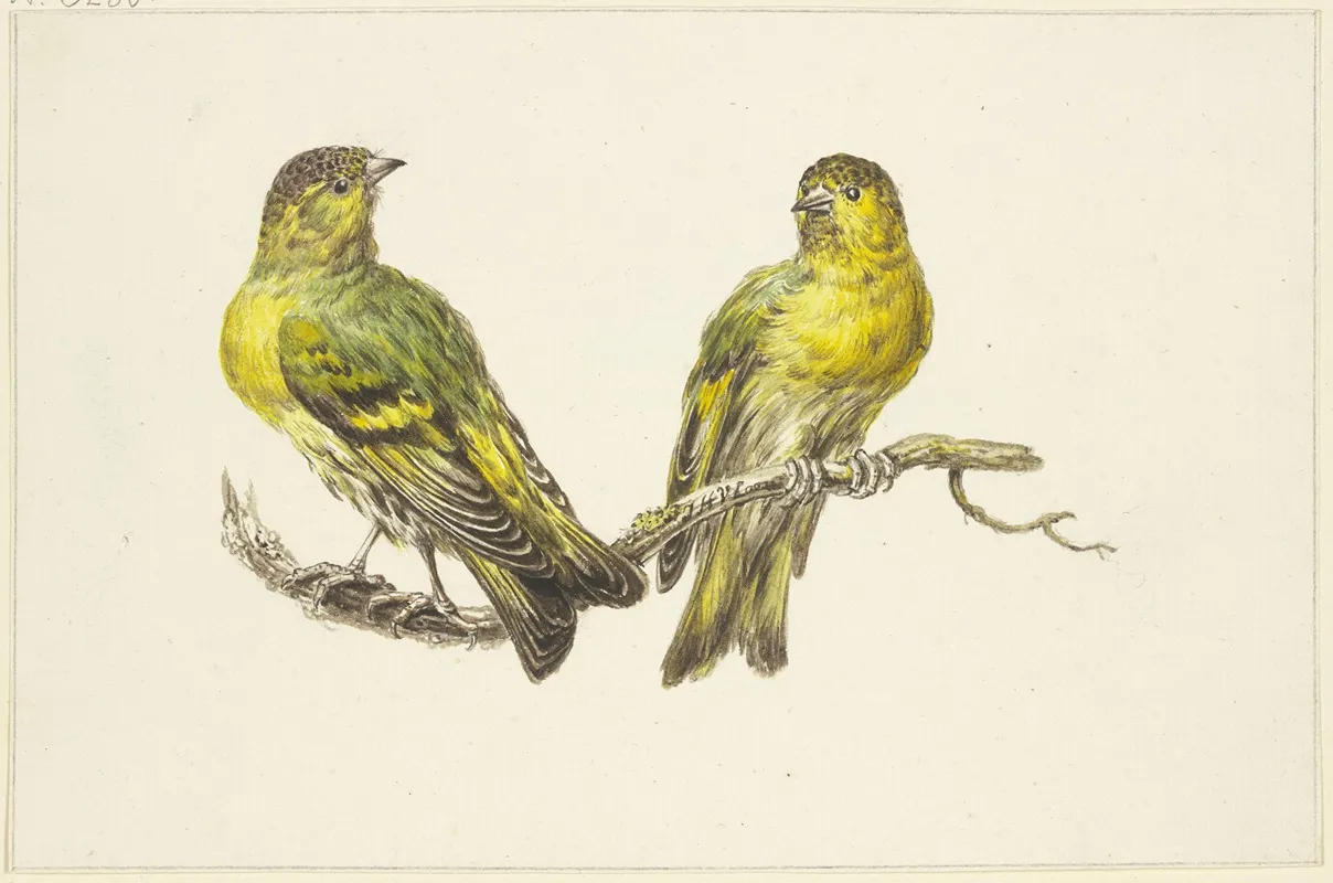 Two Linnets Wall Art by J. H. Van Loon - High-Resolution Digital Print