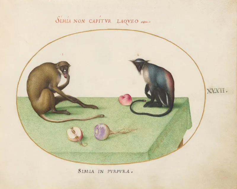 Two Monkeys On A Table