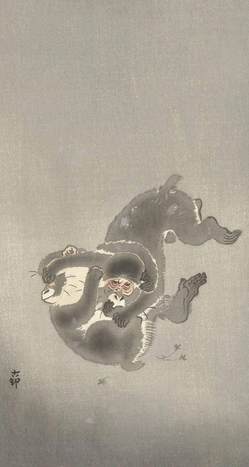 Two Monkeys Playing