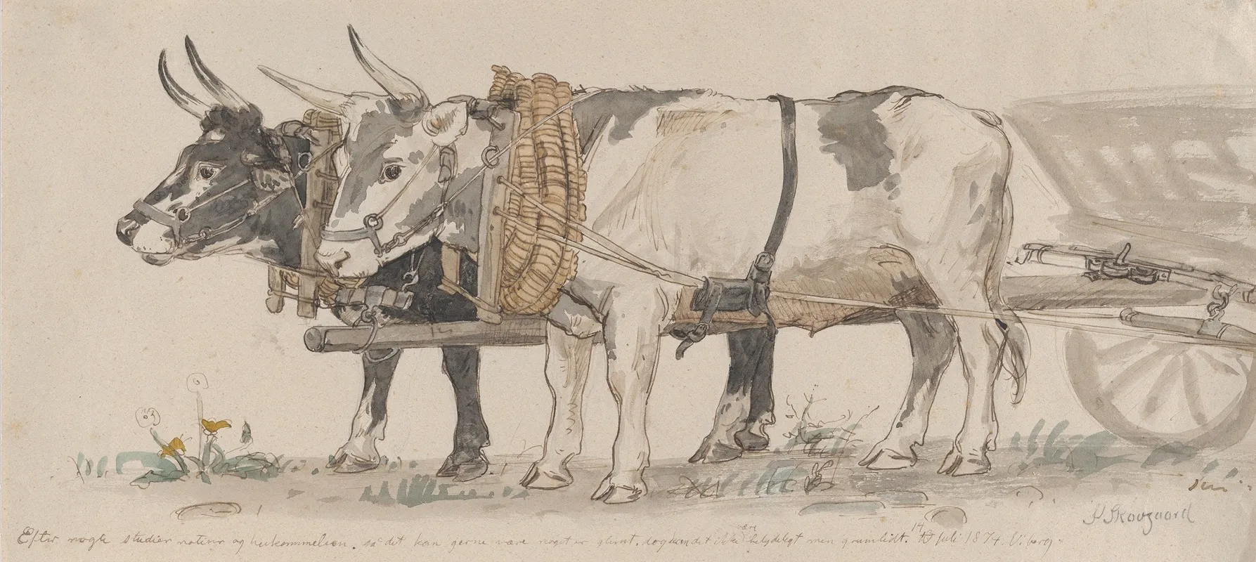 Two Oxen Pulling A Cart