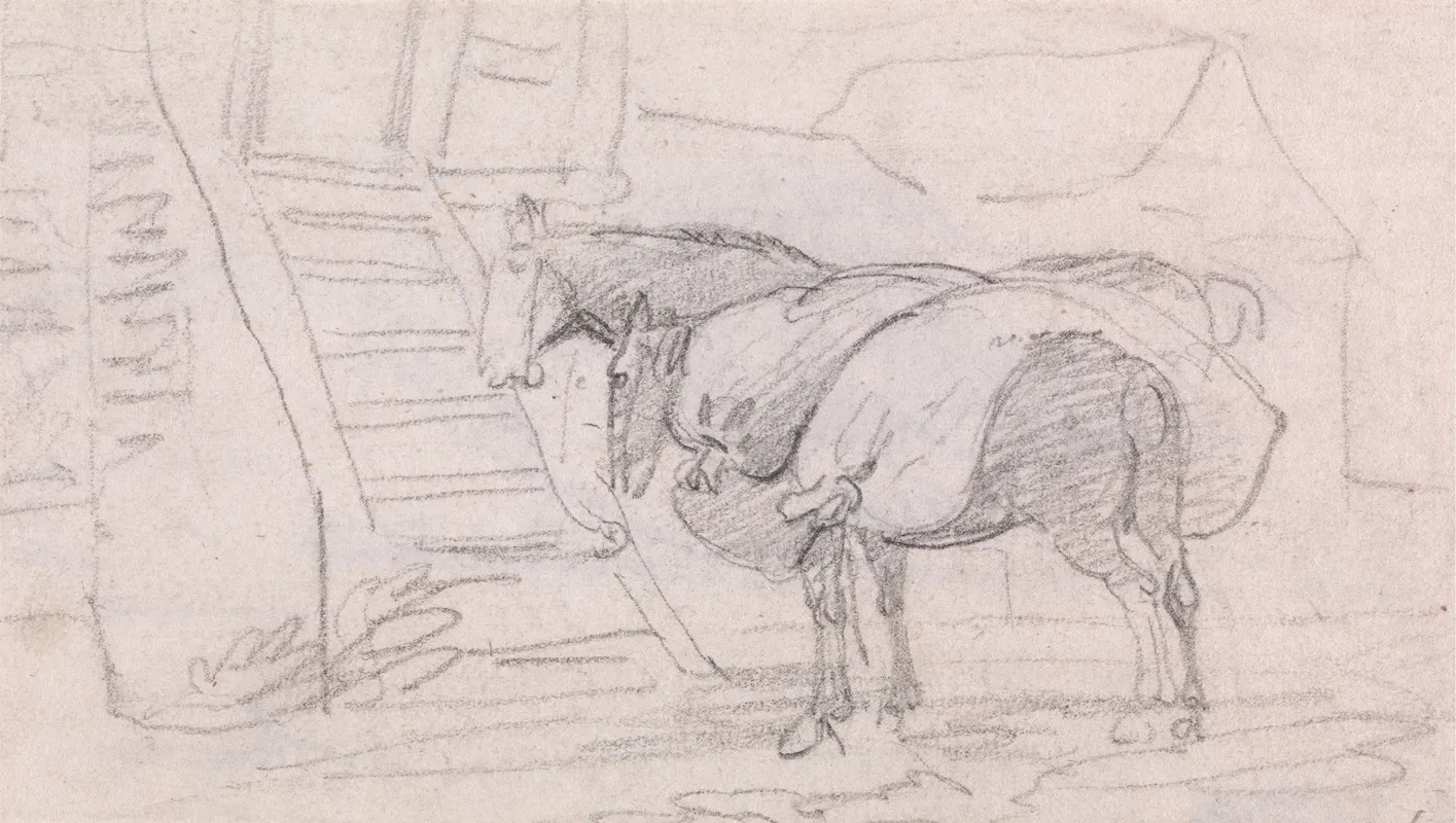 Two Pack Horses