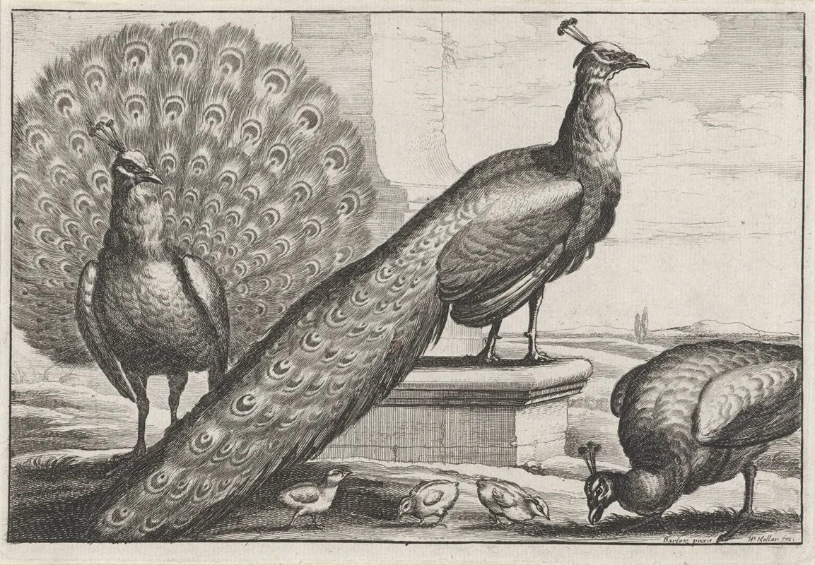 Two Peacocks A Peahen And Three Chicks