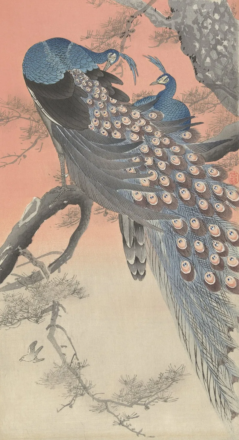 Two Peacocks On Tree Branch Wall Art by Ohara Koson - High-Resolution Digital Print