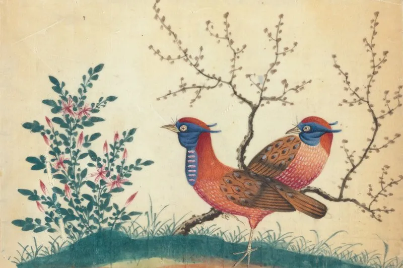 Two Pheasant Like Birds With Flowering Plants
