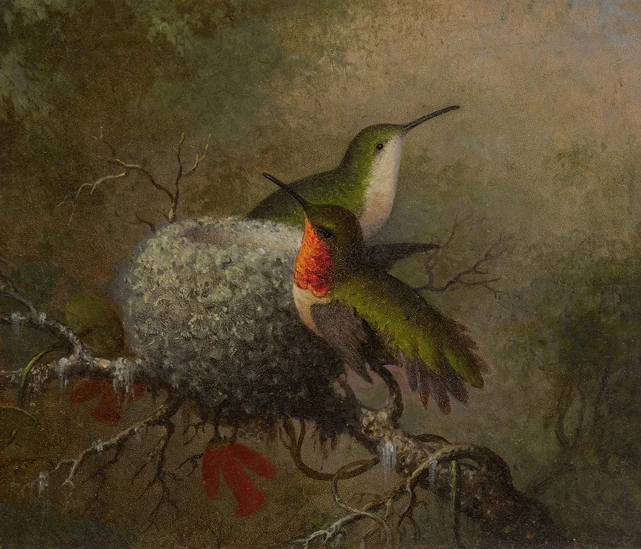 Two Ruby Throats By Their Nest