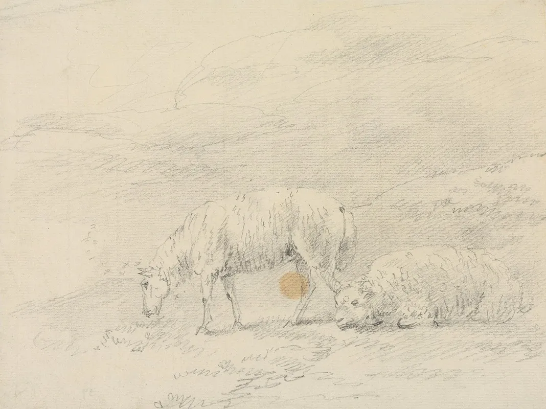 Two Sheep 3