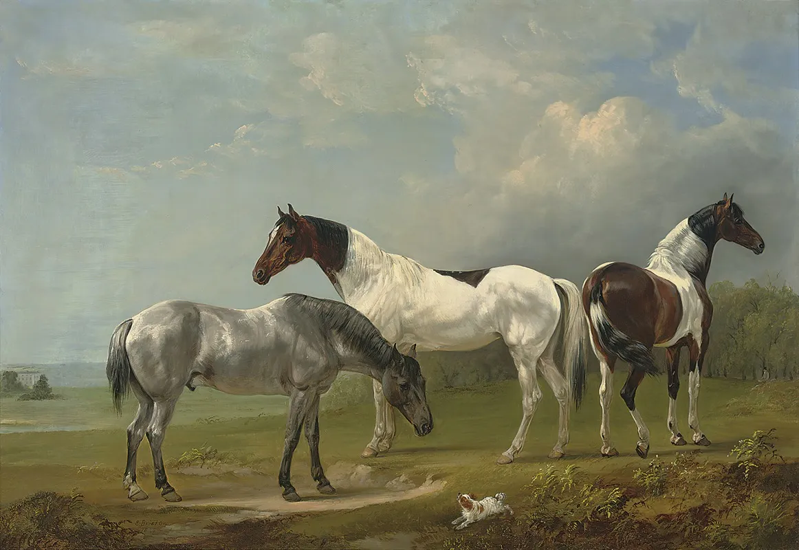 Two Skewbalds A Grey And Spaniel In An Extensive Landscape A Country House Beyond Wall Art by Edmund Bristow - High-Resolution Digital Print