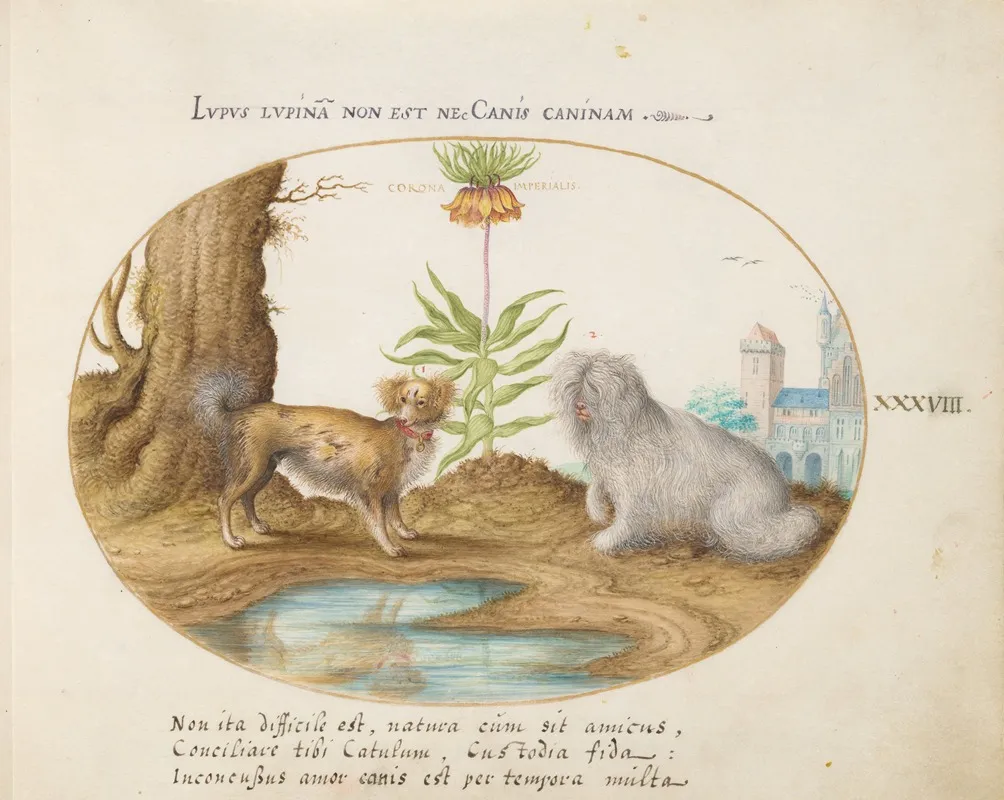 Two Small Dogs With A Crown Imperial