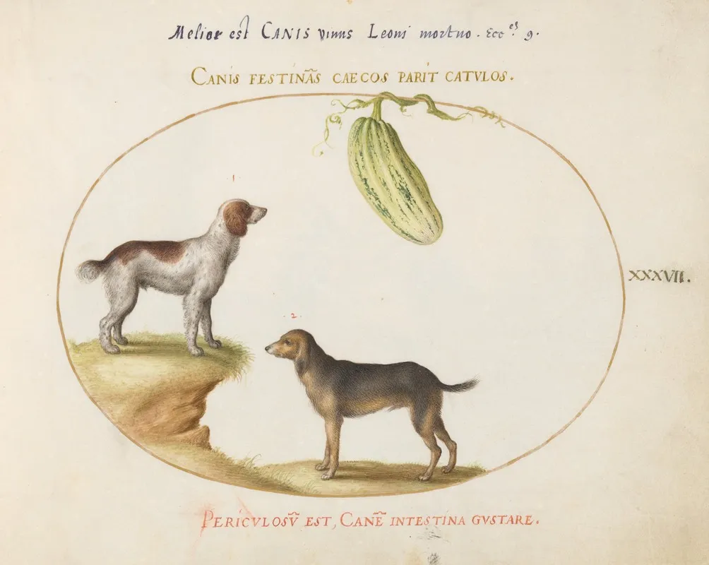 Two Spaniels With A Gourd