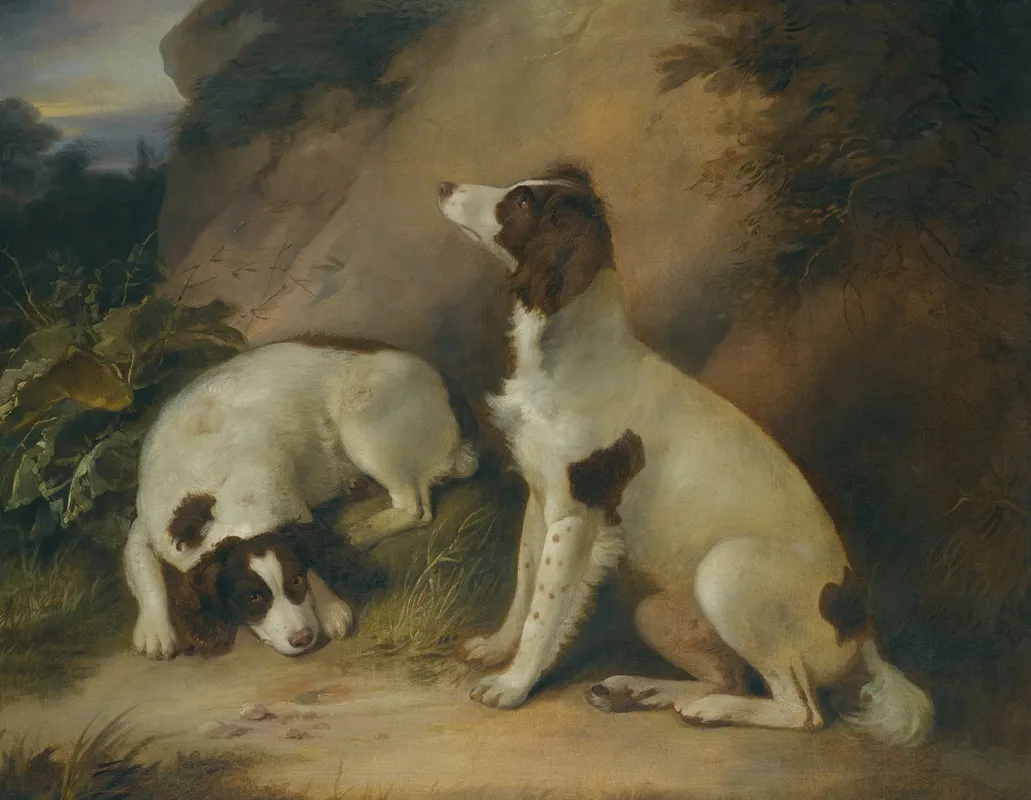 Two Springer Spaniels In A Rocky Landscape Wall Art by Richard Livesay - High-Resolution Digital Print
