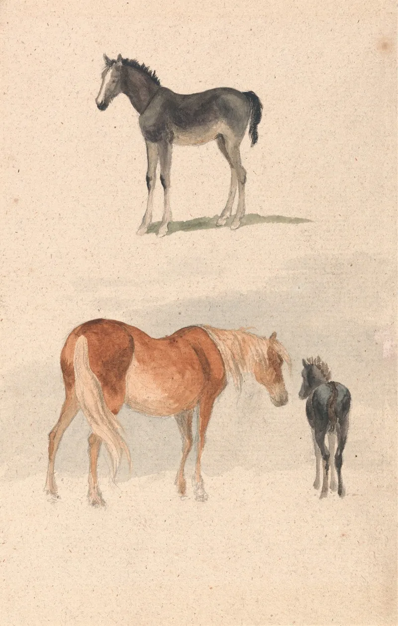 Two Studies A Foal And A Mare And Foal