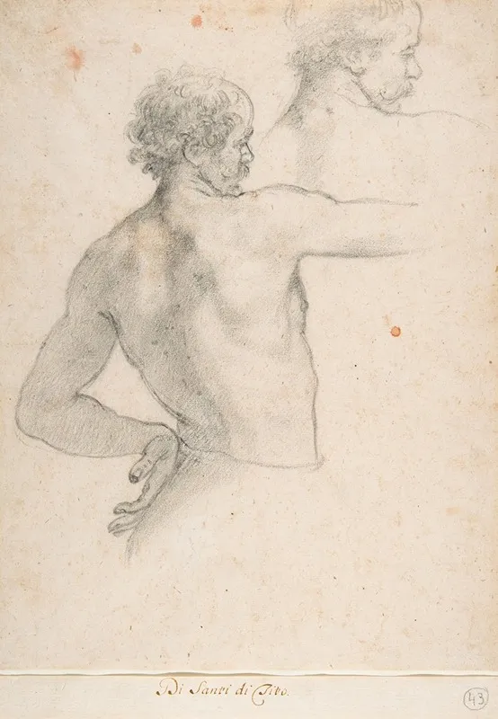Two Studies Of A Man 2