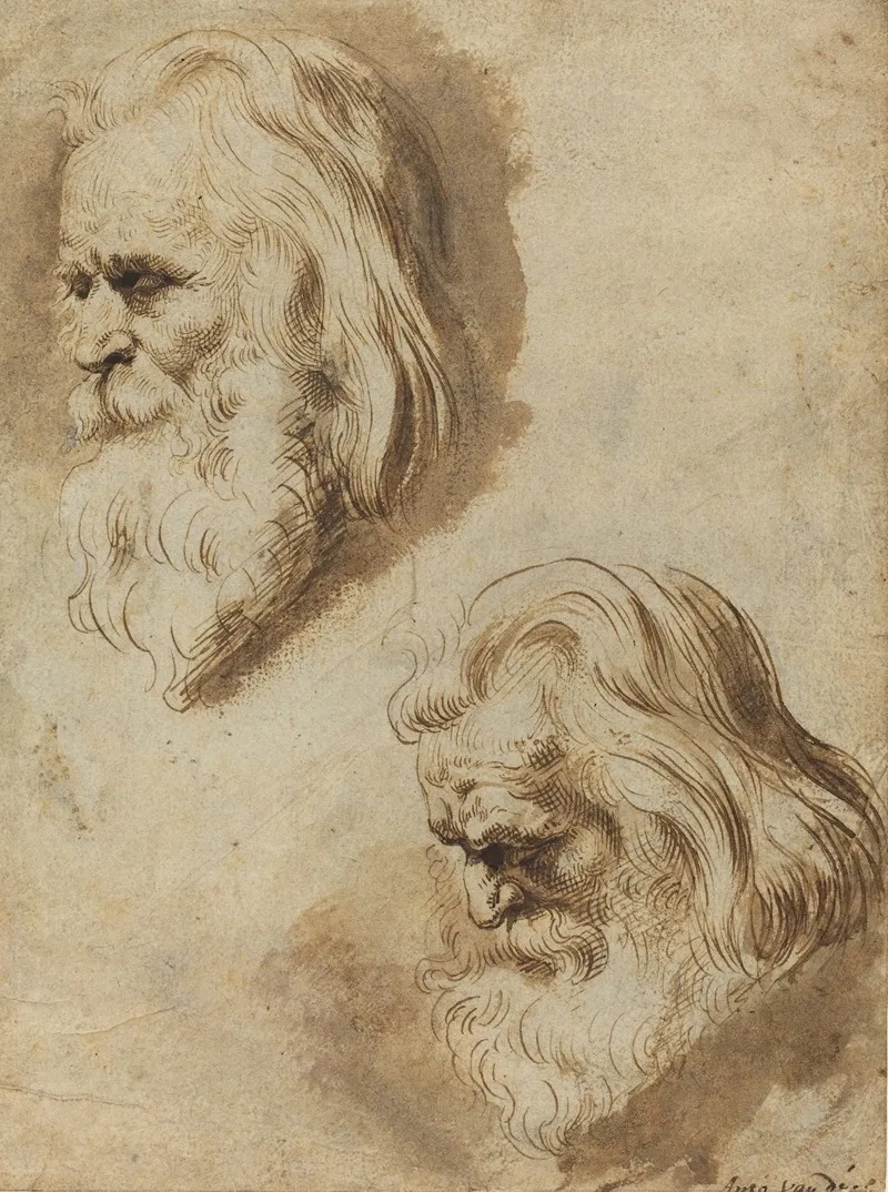 Two Studies Of An Elderly Mans Head Wall Art by Paulus Pontius - High-Resolution Digital Print