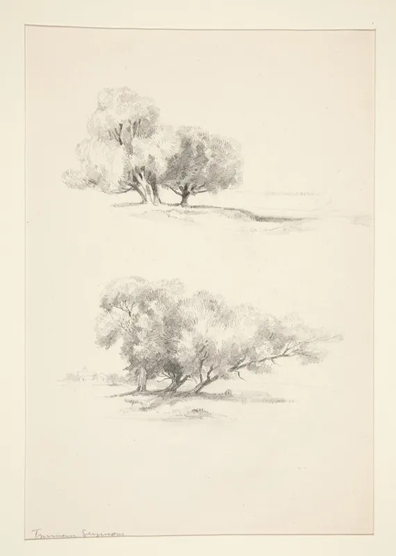 Two Studies Of Trees Wall Art by Truman Seymour - High-Resolution Digital Print