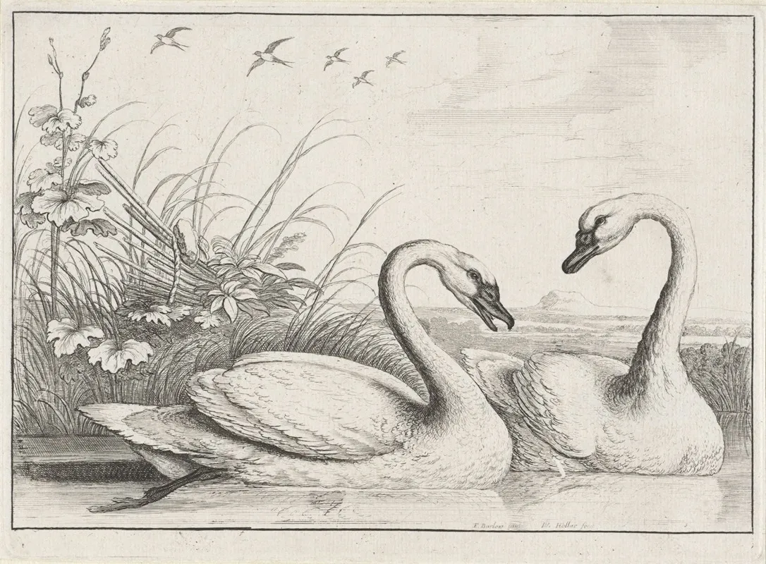 Two Swans Swimming With An Old Fishing Weir On The River Bank At Left And Five Swallows Flying Overhead