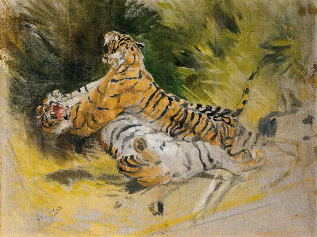 Two Tigers Fighting