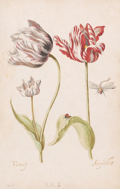 Two Tulips With Insects Wall Art by Jacob Marrel - High-Resolution Digital Print