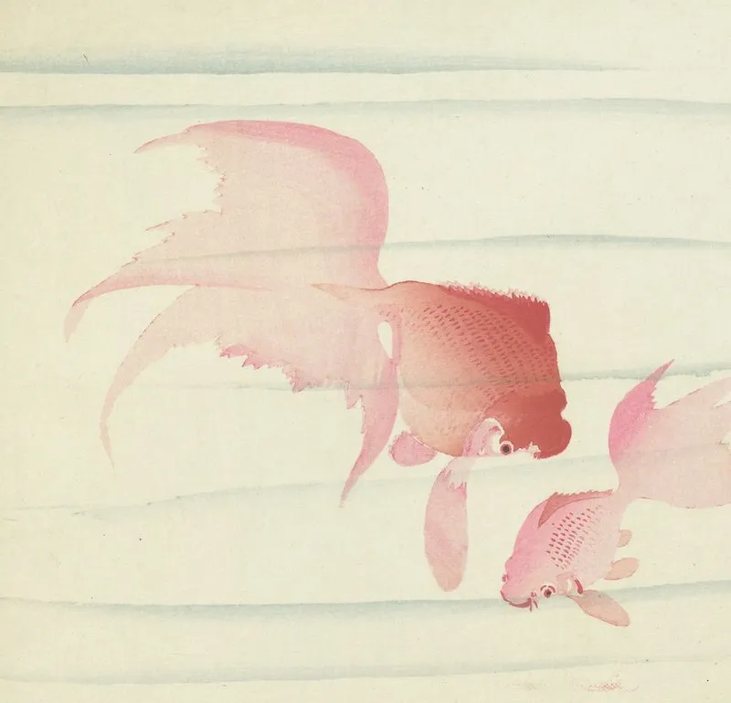 Two Veil Tails Wall Art by Ohara Koson - High-Resolution Digital Print