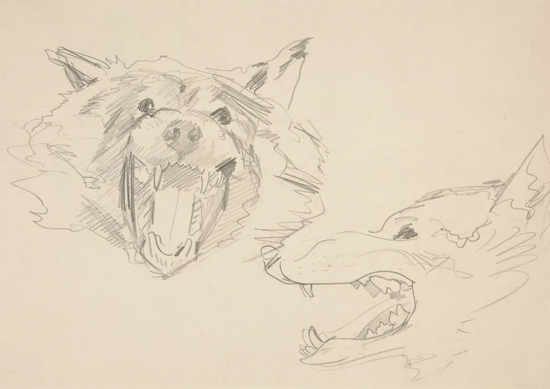Two Views Of A Wolfs Head