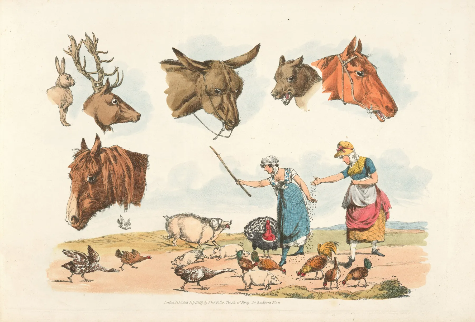 Two Women Feeding Domestic Birds Also Six Heads Of Domestic And Wild Animals