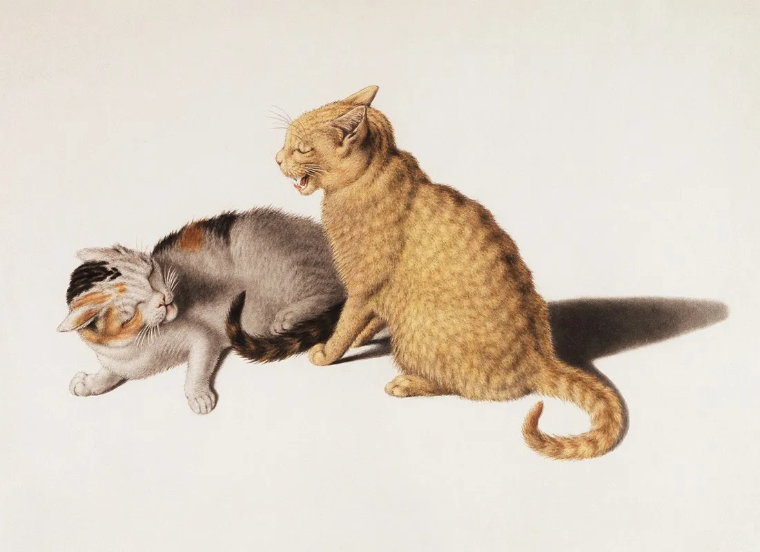 Two Young Cats Be In Conflict Wall Art by Gottfried Mind - High-Resolution Digital Print