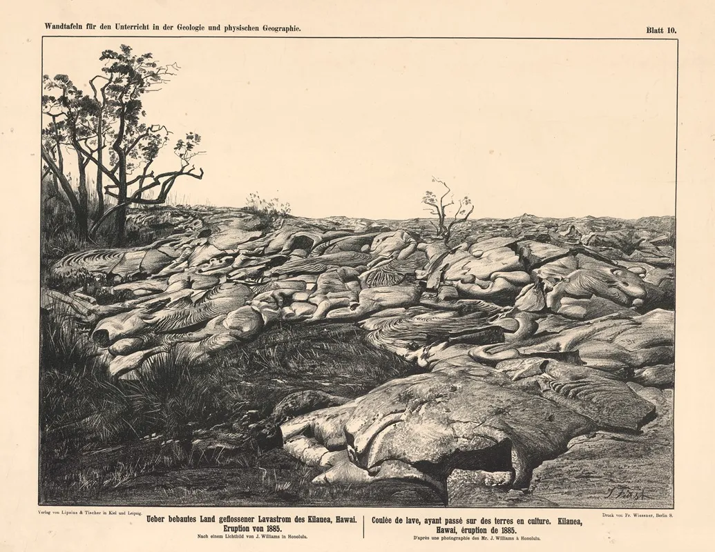 Ueber Bebautes Land Geflossener Lavastrom Des Kilauea Hawai Eruption Von 1885 Wall Art by J. Williams - High-Resolution Digital Print