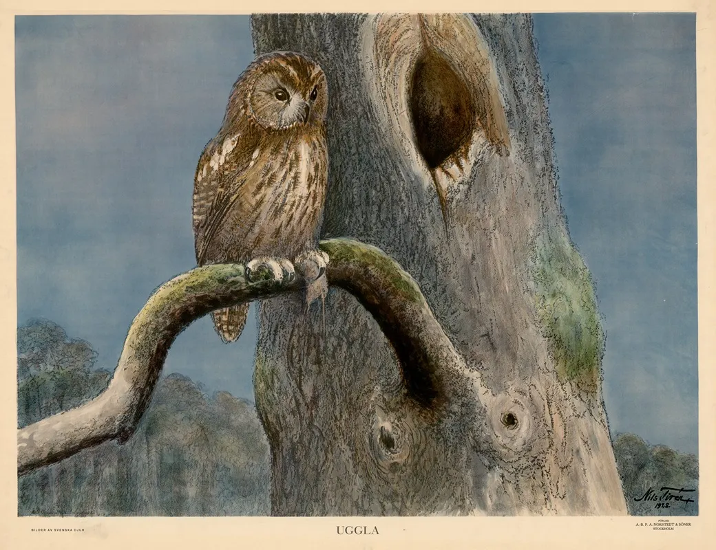 Uggla Wall Art by Nils Tirén - High-Resolution Digital Print