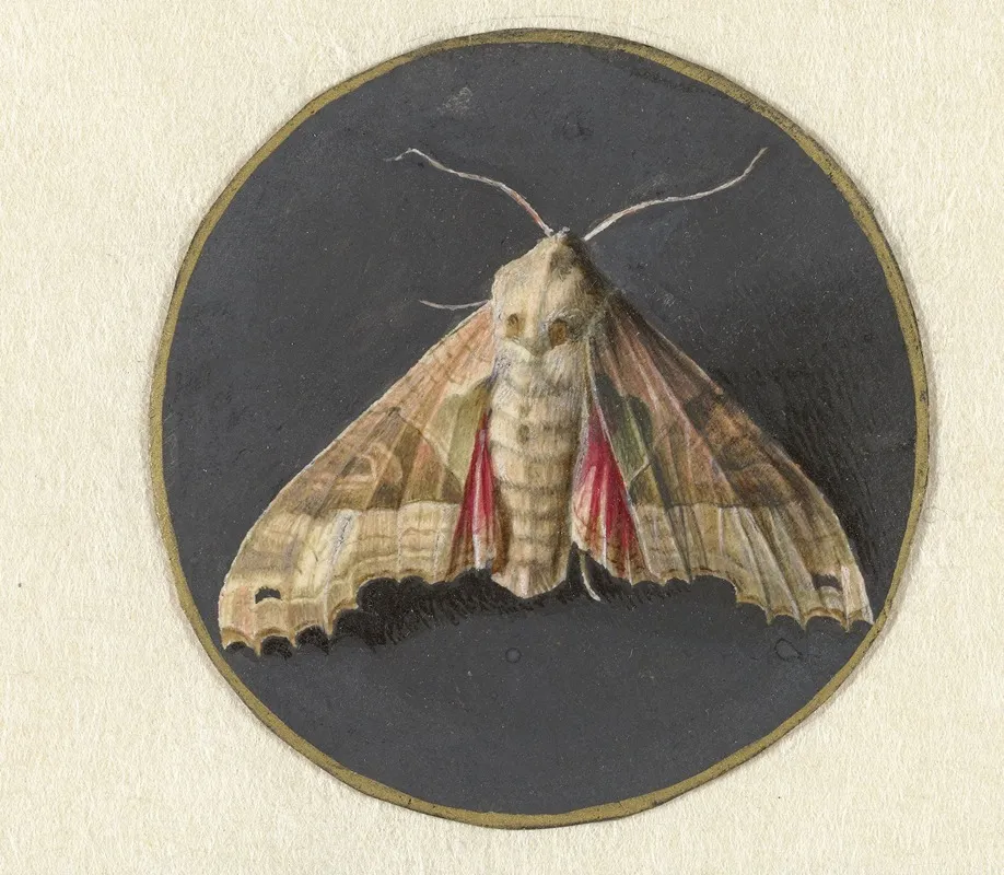 Uiltje Of Nachtvlinder Wall Art by Jan Augustin van der Goes - High-Resolution Digital Print