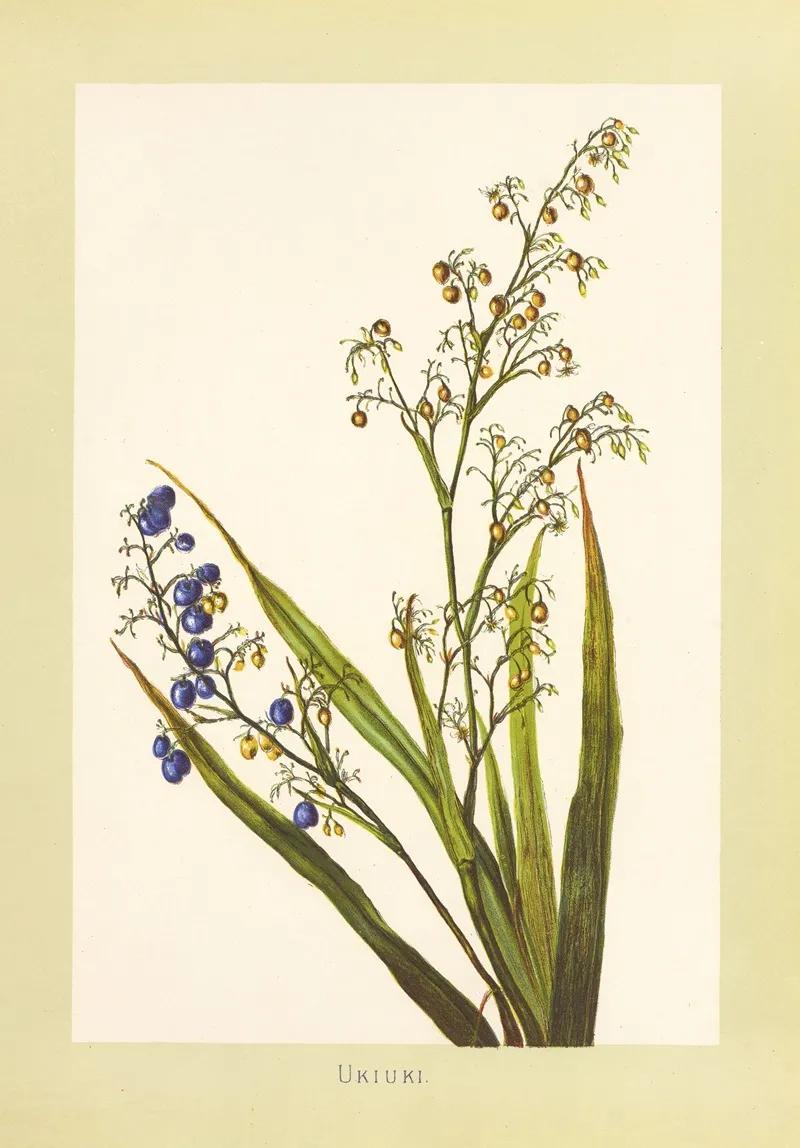 Ukiuki Wall Art by Isabella McHutcheson Sinclair - High-Resolution Digital Print