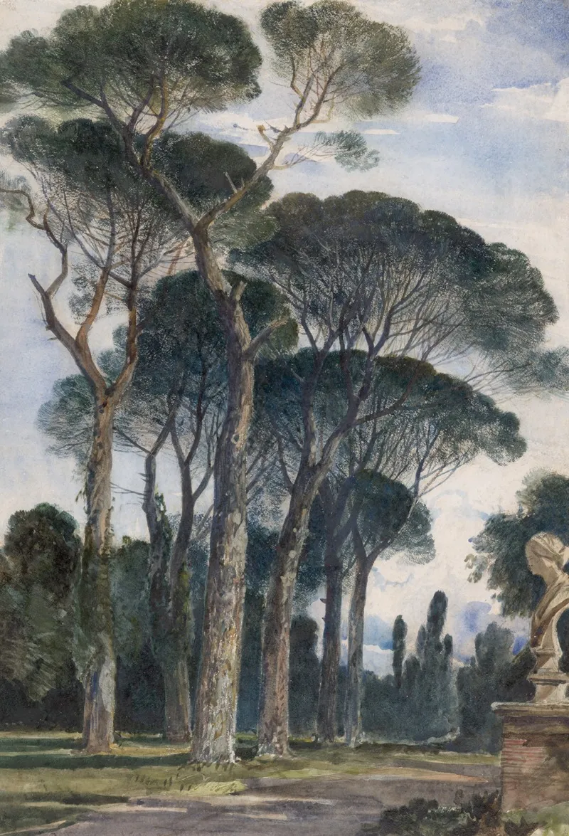 Umbrella Pines In The Villa Borghese Rome