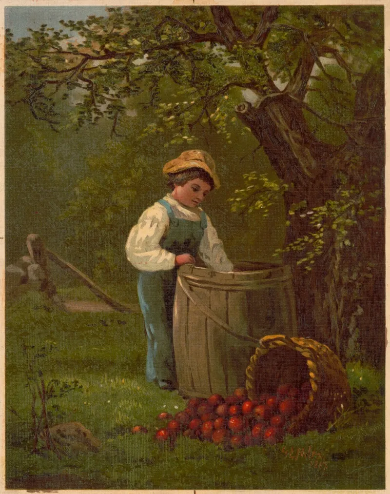 Under The Apple Tree