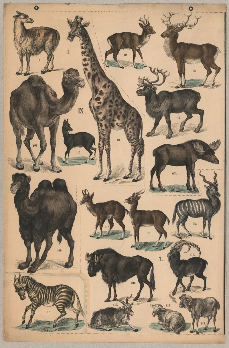 Ungulates Hoofed Animals Wall Art by P.T. Malling - High-Resolution Digital Print