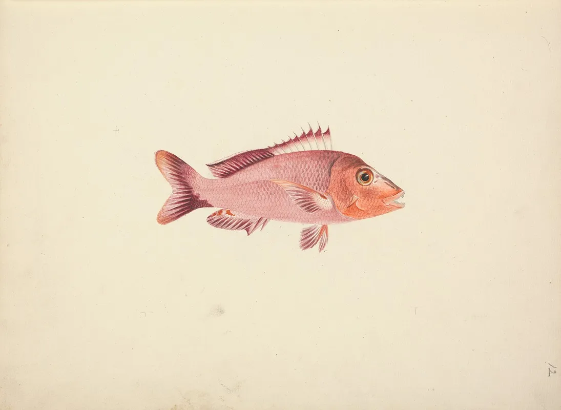 Unidentified Fish 10